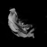 Dil-E-Ummid Toda Hai Kisi Ne (Lyrics in Urdu / Hindi)