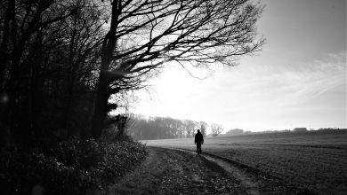 Mile Bina Hi Bichharne Ke Dar Se Laut Aaye Sad Urdu Poetry Poet: Kuldeep Kumar