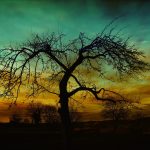 Aye Muhabbat Tere Anjam Pe Rona Aaya - Sad Poetry