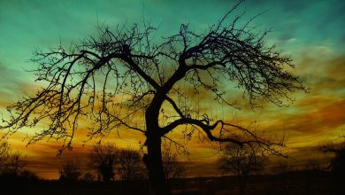 Aye Muhabbat Tere Anjam Pe Rona Aaya - Sad Poetry