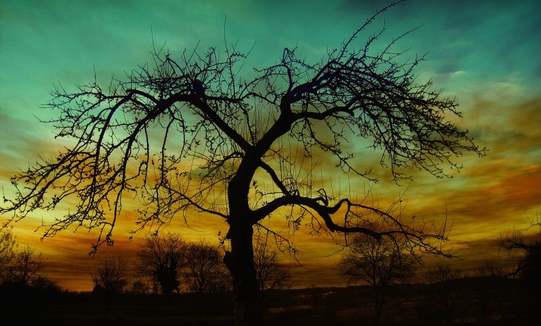 Aye Muhabbat Tere Anjam Pe Rona Aaya - Sad Poetry