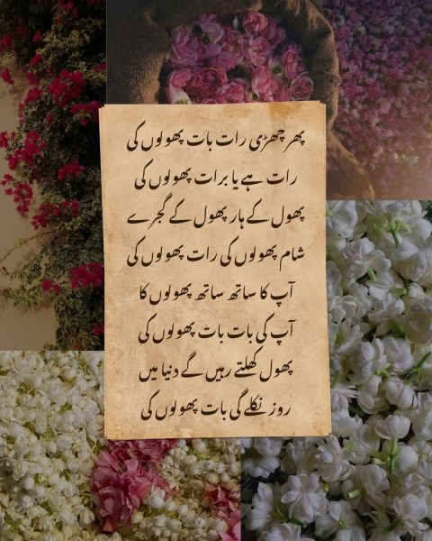 Phir Chhadi Raat Baat Phoolon Ki