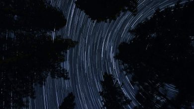 Aisa Nahin Duaon Mein Manga Nahin Tujhe - Shayari