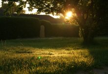 Woh Jo Hum Mein Tum Mein Qarar Tha - Full Poetry Lyrics