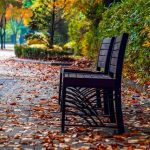 Mere Mehboob Qayamat Hogi - Lyrics