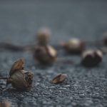 Kise Bulana Tha Aur Kis Ke Paas Jaana Tha - Sad Poetry