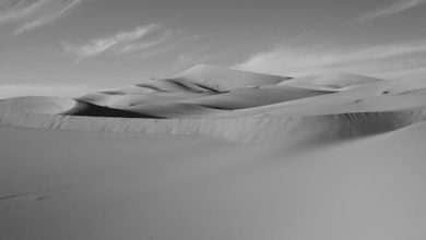 Aagaah Apni Maut Se Koi Bashar Nahi - Urdu Ghazal