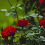 Agar Tum Mil Jao, Zamana Chhord Denge Hum [Lyrics]