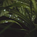 Kirchiyan Chunta Hoon To Hairani Bohat Hoti Hai - Urdu Poetry