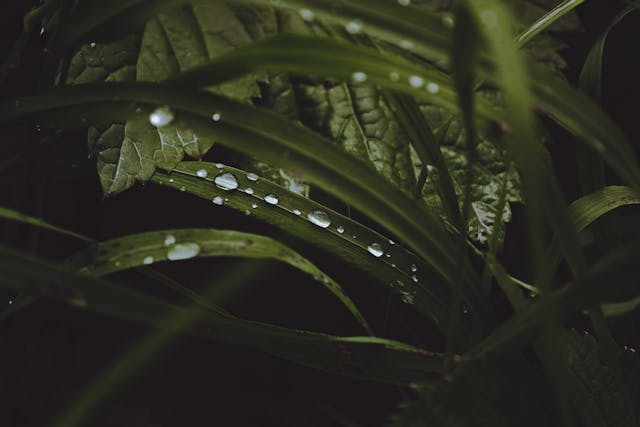 Kirchiyan Chunta Hoon To Hairani Bohat Hoti Hai - Urdu Poetry