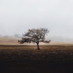 Chhord Jaane Pe Parindon Ki Muzammat Ki Ho