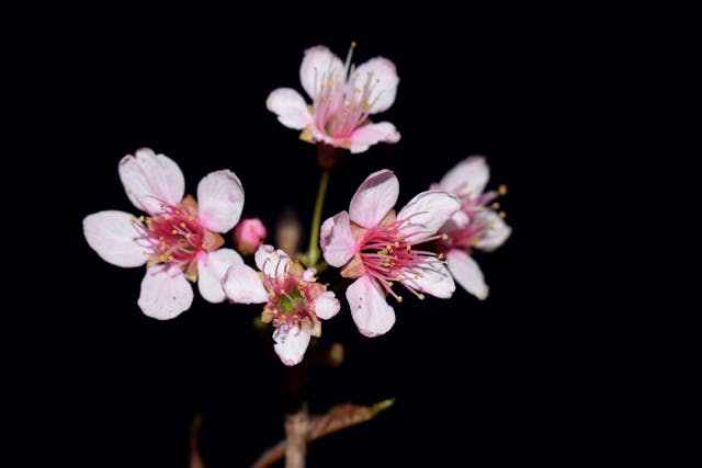Ghazal - Thahar Thahar Ke Khudara Kalaam Keejiye Naa