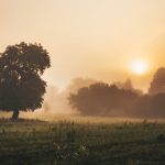 Woh Log Mere Bohat Pyaar Karne Waale Thay - Urdu Ghazal