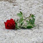 Humein To Khair Koi Doosra Acha Nahin Lagta - Ghazal