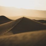 Ghazal - Jab Bahaar Aayi To Sehra Ki Taraf Chal Nikla