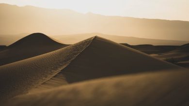 Ghazal - Jab Bahaar Aayi To Sehra Ki Taraf Chal Nikla