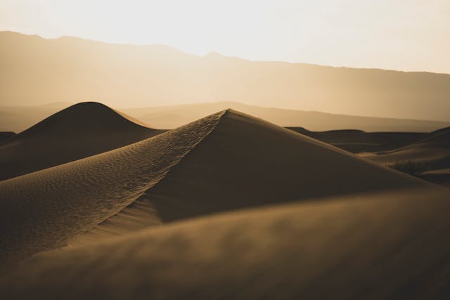 Ghazal - Jab Bahaar Aayi To Sehra Ki Taraf Chal Nikla