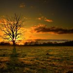 Hawa-e-Shaam Zara Sa Qayaam Hoga Na - Ghazal