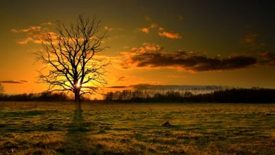 Hawa-e-Shaam Zara Sa Qayaam Hoga Na - Ghazal