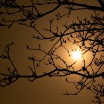 Kabhi Shaam Dhale To Mere Dil Mein Aa Jana - Nida Fazli