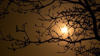 Kabhi Shaam Dhale To Mere Dil Mein Aa Jana - Nida Fazli