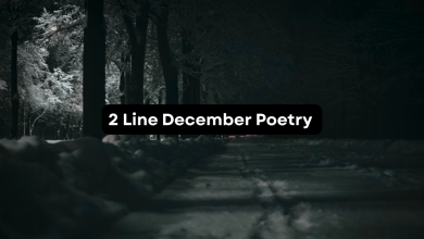 2 Line December Poetry in Urdu | December Shayari