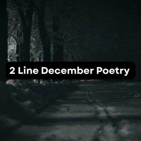 2 Line December Poetry in Urdu | December Shayari