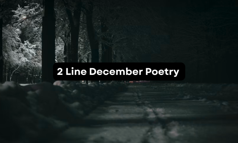 2 Line December Poetry in Urdu | December Shayari