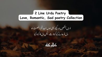 100+ 2 Line Urdu Poetry | Love, Romantic, Sad poetry Collection