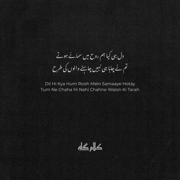 Best 2 Line Dil Poetry in Urdu | Heart Poetry for WhatsApp & Instagram | 2 line dil poetry 2 line poetry in roman dil poetry roman Urdu sad 2 line poetry emotional 2 line poetry heart touching 2 line shayari