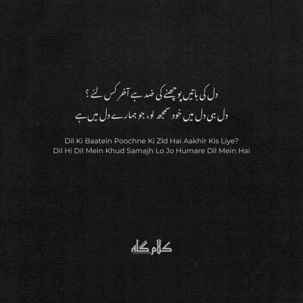 Best 2 Line Dil Poetry in Urdu | Heart Poetry for WhatsApp & Instagram | 2 line dil poetry 2 line poetry in roman dil poetry roman Urdu sad 2 line poetry emotional 2 line poetry heart touching 2 line shayari