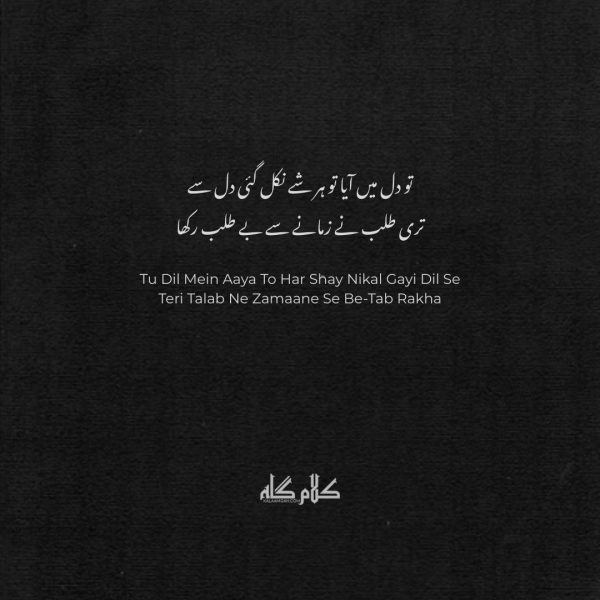 Best 2 Line Dil Poetry in Urdu | Heart Poetry for WhatsApp & Instagram | 2 line dil poetry 2 line poetry in roman dil poetry roman Urdu sad 2 line poetry emotional 2 line poetry heart touching 2 line shayari