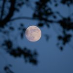 Hawa Chali Thi Kuch Aisi, Bikhar Gaye Hote - Umeed Fazli