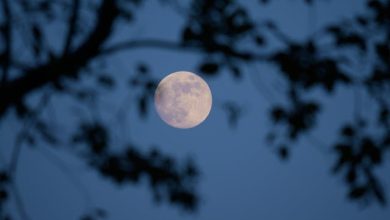 Hawa Chali Thi Kuch Aisi, Bikhar Gaye Hote - Umeed Fazli