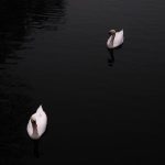 Koi Faryaad Tere Dil Mein Dabi Ho Jaise - Urdu Ghazal - Kalaamgah.com