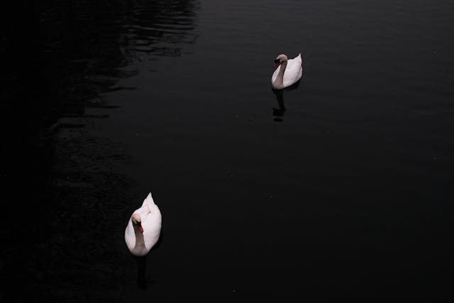 Koi Faryaad Tere Dil Mein Dabi Ho Jaise - Urdu Ghazal - Kalaamgah.com