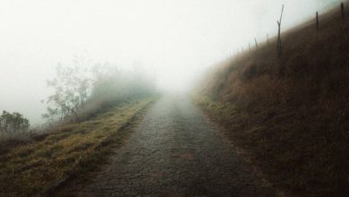 Yaad Nahi Kya Kya Dekha Tha - Ghazal