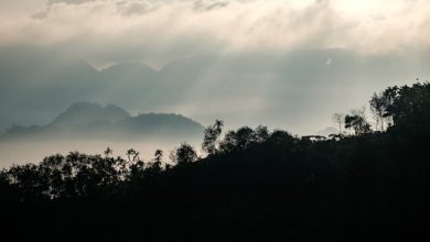 Daagh Dil Hum Ko Yaad Aane Lage - Lyrics