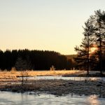 Dil Ki Deewana Tabiyat Ko Museebat Na Bana - Urdu Poetry