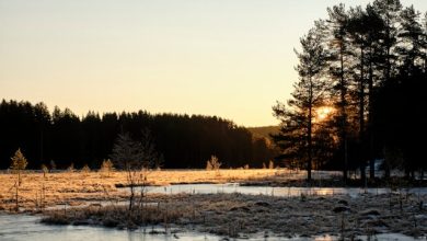 Dil Ki Deewana Tabiyat Ko Museebat Na Bana - Urdu Poetry