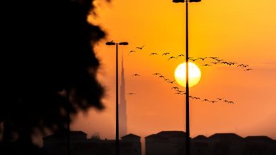 Ghazal - Woh Aay Ke Samne Jis Waqt Muskurate Hain