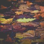 Mujh Ko Maloom Tha Main Aur Sanwar Jaaoon Ga - Ghazal