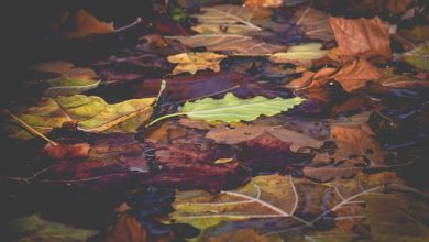 Mujh Ko Maloom Tha Main Aur Sanwar Jaaoon Ga - Ghazal