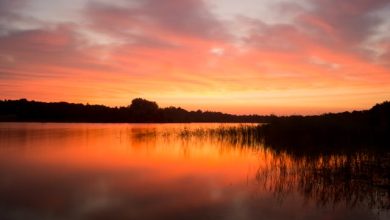 Karo Ge Yaad To Har Baat Yaad Aayegi [Lyrics]