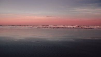 Tere Jaisa Mera Bhi Haal Tha - Aitbar Sajid