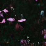 Yeh Hadsa Mujhe Hairan Kar Gaya Sar Shaam - Urdu Ghazal