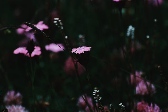 Yeh Hadsa Mujhe Hairan Kar Gaya Sar Shaam - Urdu Ghazal