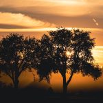 Har Dard Pehan Lena, Har Khwab Mein Kho Jana - Aitebar Sajid