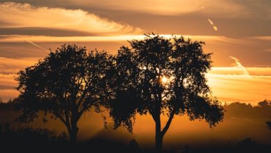 Har Dard Pehan Lena, Har Khwab Mein Kho Jana - Aitebar Sajid