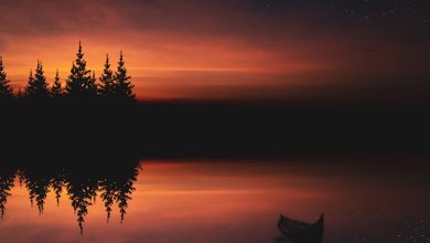 Dard Ki Had Se Guzaare To Sabhi Jaayenge - Shakeel Azmi